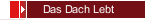 Das Dach Lebt
